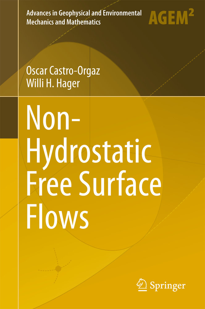 Non-Hydrostatic Free Surface Flows