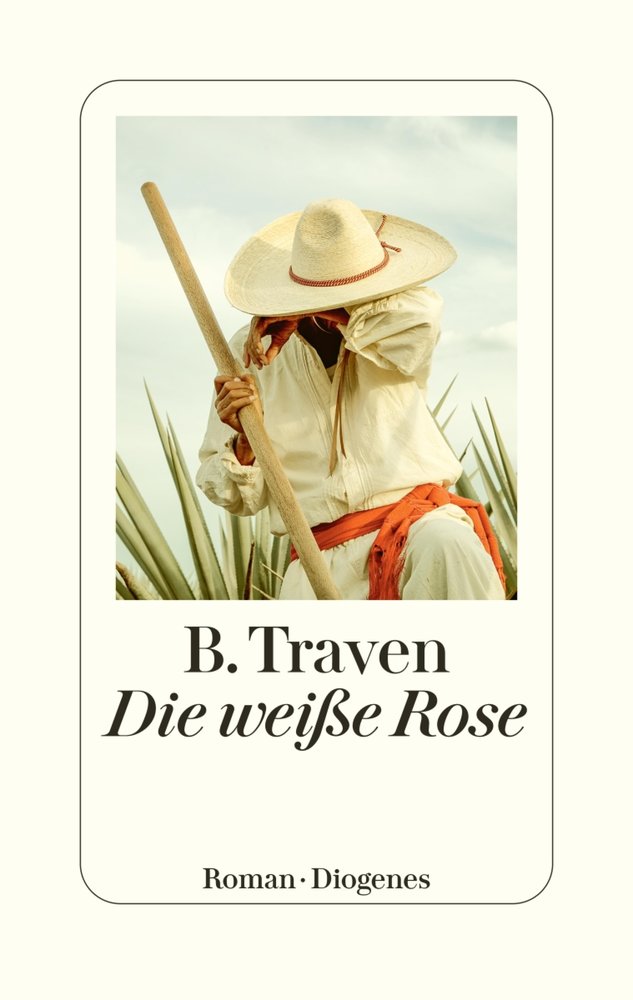 Die weiße Rose