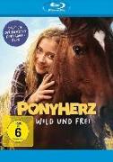 Ponyherz