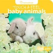 Touch And Feel: Baby Animals