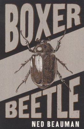 Boxer Beetle