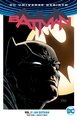 Batman Vol. 1: I Am Gotham (Rebirth)