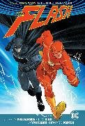 Batman/The Flash: The Button Deluxe Edition (International Version)