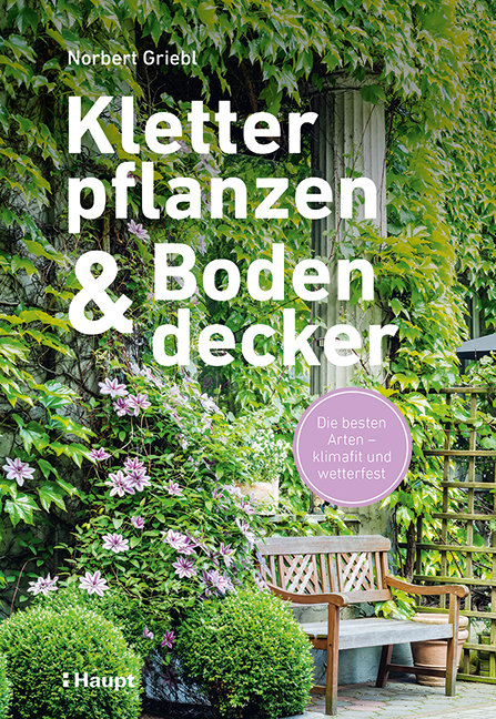 Kletterpflanzen und Bodendecker