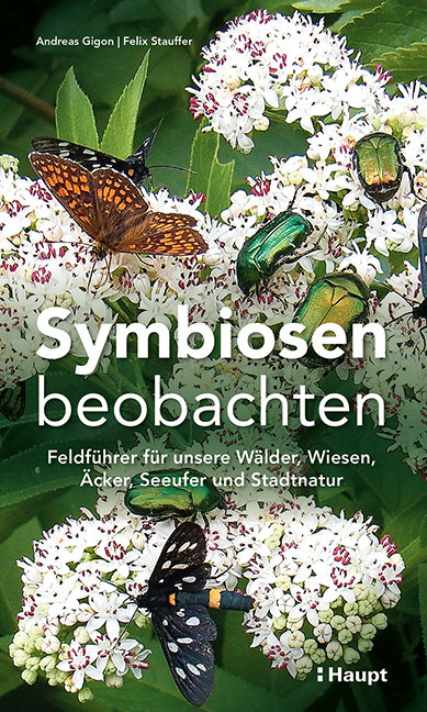 Symbiosen beobachten