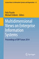 Multidimensional Views on Enterprise Information Systems