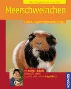 Meerschweinchen