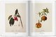 A Garden Eden. Masterpieces of Botanical Illustration