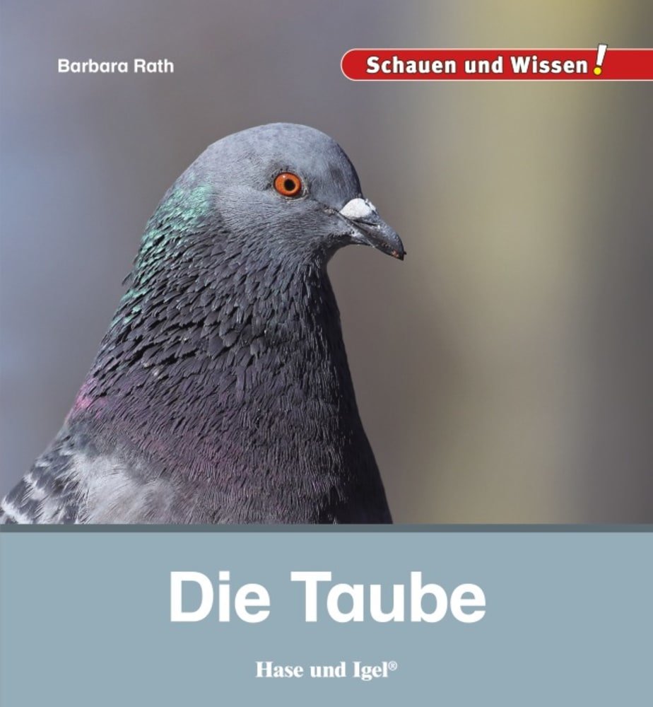 Die Taube