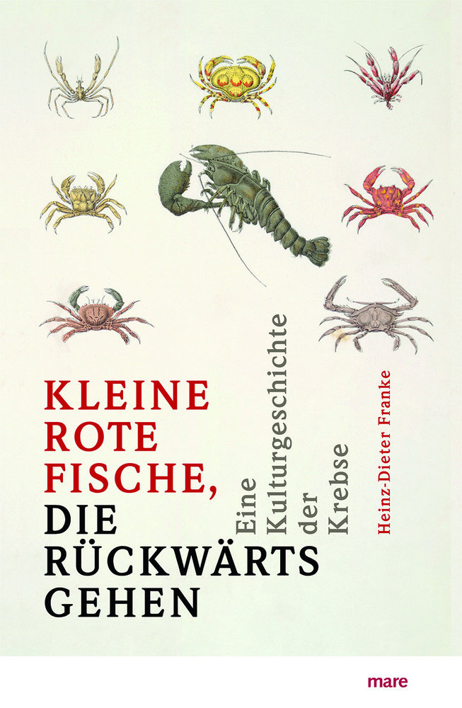 »Kleine rote Fische, die rückwärtsgehen«