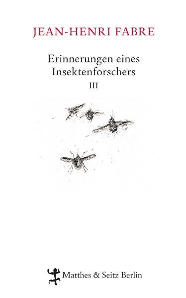 Erinnerungen eines Insektenforschers III