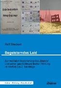 Begeisterndes Leid. Zur medialen Inszenierung des 'Brands' und seiner geschichtspolitischen Wirkung im Vorfeld des 2. Irakkriegs