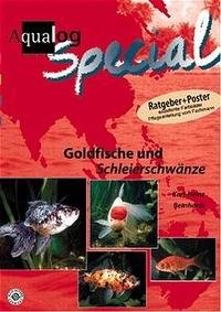 Goldfische und Schleierschwänze