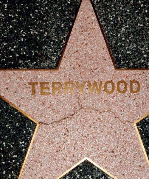 Terry Richardson: Terrywood